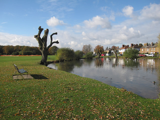 Pond, West End