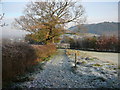 Frosty morning on North Cheshire Way near Alvanley