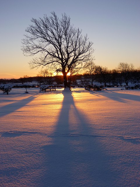 Sunrise on the snowy fields of Boldron