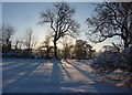 Snowy field in the morning light