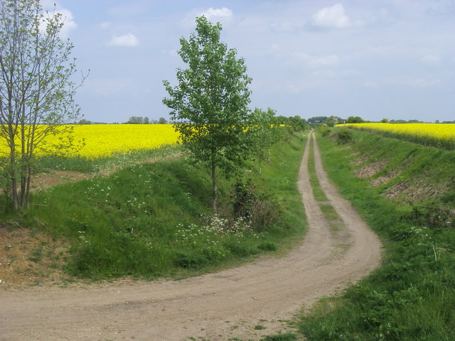 Route of old railway