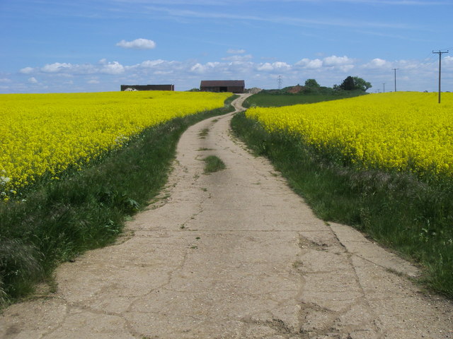 Footpath nearing Lodge Farm