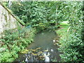 River as seen from Denne Road Railway Bridge