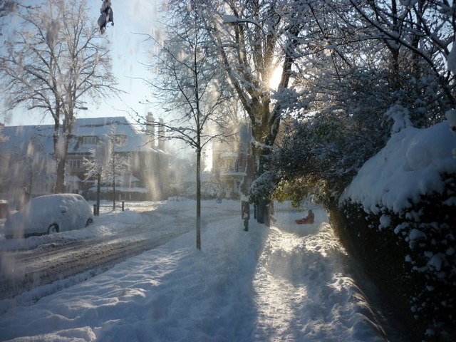 Snow blowing off the trees down Salisbury Street, Hull