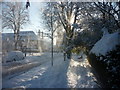 TA0730 : Snow blowing off the trees down Salisbury Street, Hull by Ian S