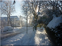 TA0730 : Snow blowing off the trees down Salisbury Street, Hull by Ian S