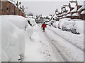 Meigle Street, Galashiels