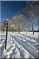 Scunthorpe Central Park footpath