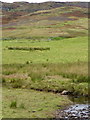 Moorland, Corrymuckloch