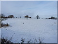 Fields near Oakwood Farm