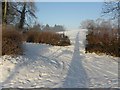 A long shadow, Creevenagh