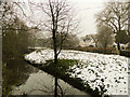 Tributary of the River Waveney at Starston