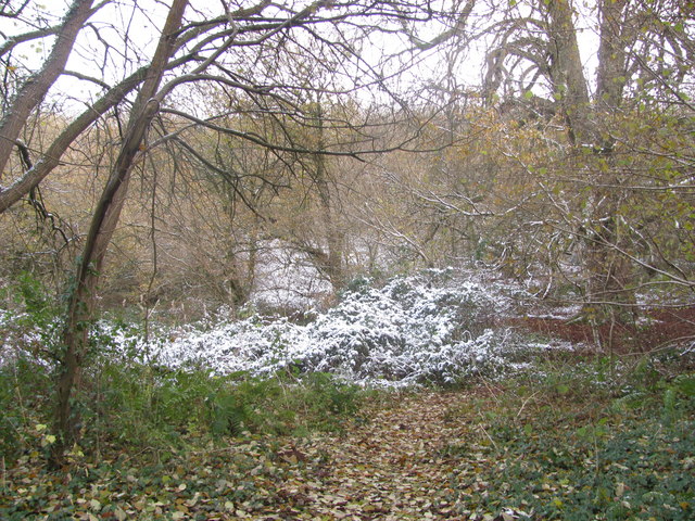 Snow in the Nature Reserve