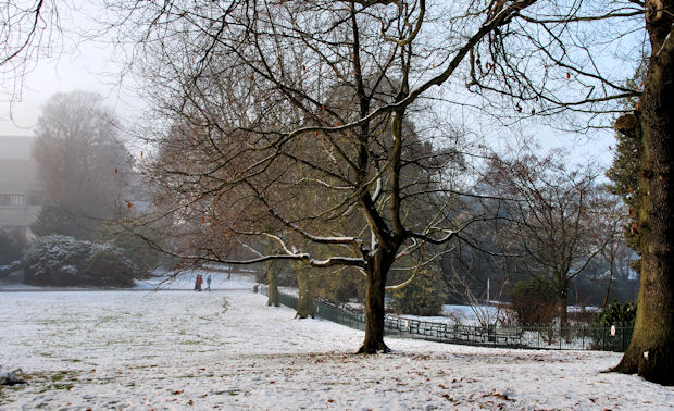 Snow, Botanic Gardens, Belfast