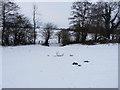 Footpath and a gate near East Wall