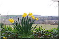 View north from Ashknowle Lane, Whitwell