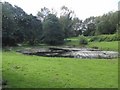 Shallow pond in Sankey Valley Park