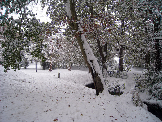 Snow at Alexandra Park