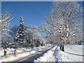 Ferry Road in the snow