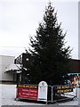 Christmas tree in Talisman Square