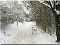 Footpath to Benfield Way