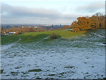 TQ1629 : Sledge slopes and view towards Horsham by Robin Webster