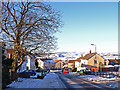 Chestnut Avenue, Beith