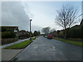 Lamppost in Ashurst Drive