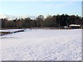 Field, Farm of Place