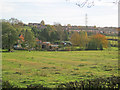 Meadow near Thornton Mill