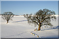 Winter farmland near Greenhead