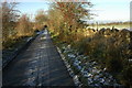 Country road on Ham Hill