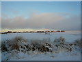 New houses at Knock Shortie