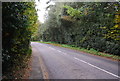 B2204, Catsfield Rd looking south