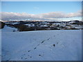 Footprints cross the fields above Pontrobert