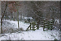 J3268 : Snow at Minnowburn by Rossographer