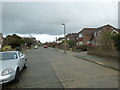 Lamppost in Petworth Avenue