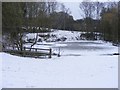 Frozen Pool