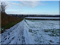 Track from Hermitage Hill coppice, in winter