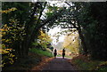 Riding along the 1066 Country Walk