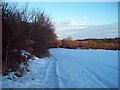 Doe Lane Snow Scene