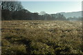 Rough grassland at Charlton Kings