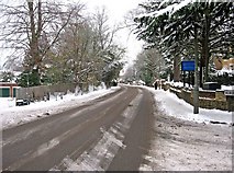 TQ0049 : Snow in Epsom Road (A246) by L S Wilson