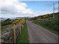 Road through Polglass