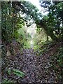 Bridleway west of Barnsley