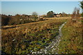 Footpath above Charlton Kings