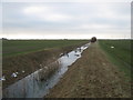 Drainage channel in Walland Marsh