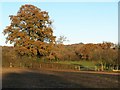 View across fields at Rowden