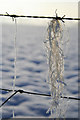 Wool and Frost on barbed wire