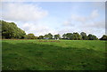 Field near Magpie Bottom